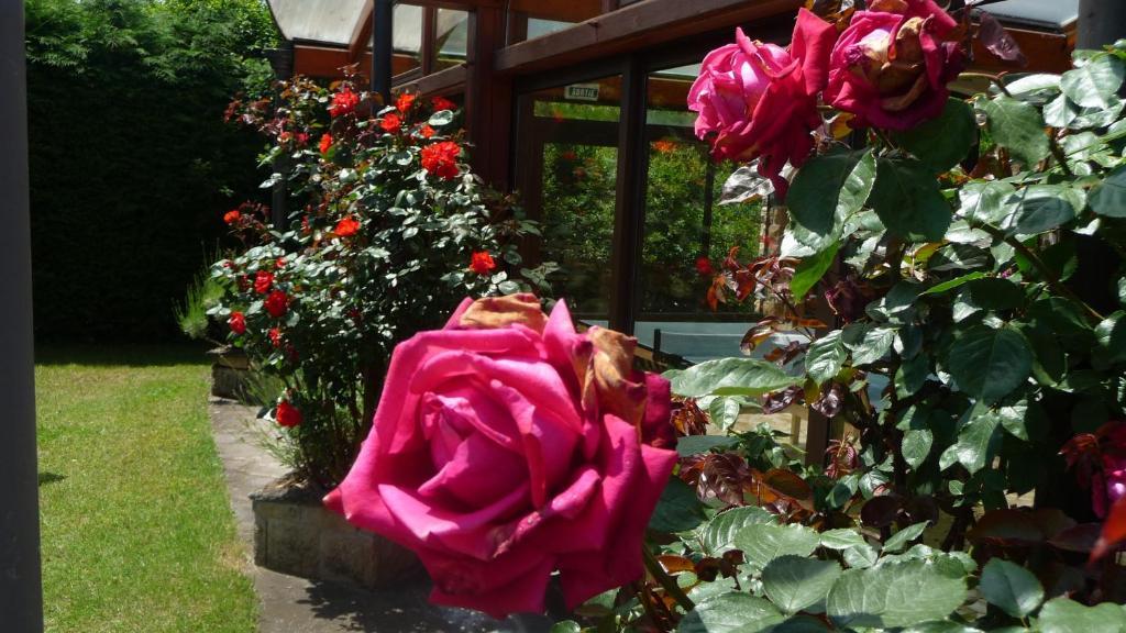 Hotel Logis La Rose Des Vents Volvic Esterno foto